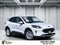 2021 Ford Escape SE Hybrid