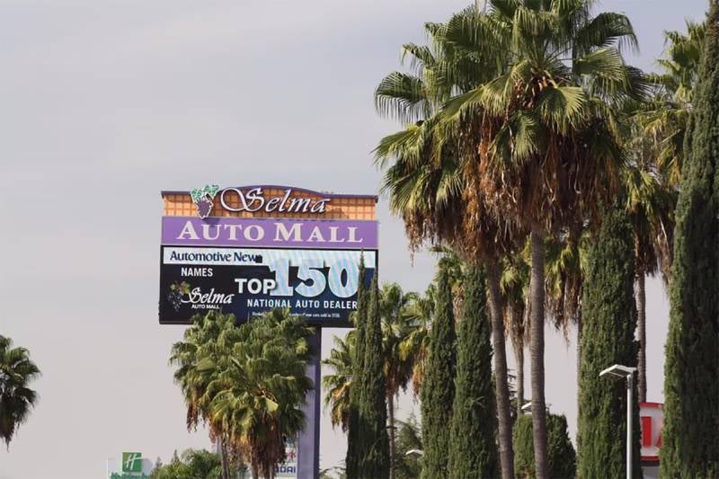 A billboard for the Selma Auto Mall is visible among tall palm and cypress trees under a gray sky.